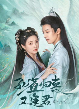 孔雀归来又逢君